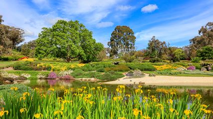 Japanese Garden - Cowra 